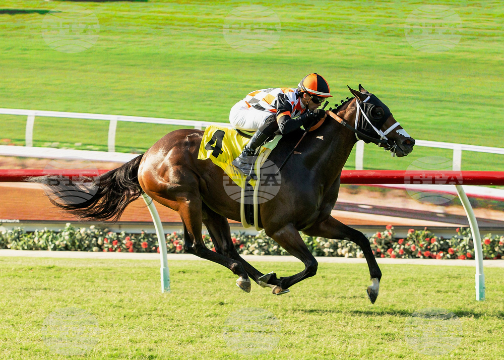 Del Mar Horse Racing
