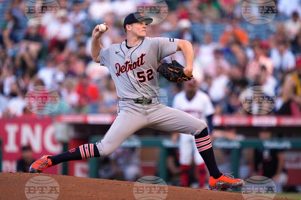 Tigers Angels Baseball