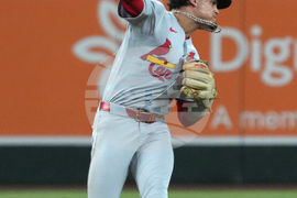Cardinals Diamondbacks Baseball