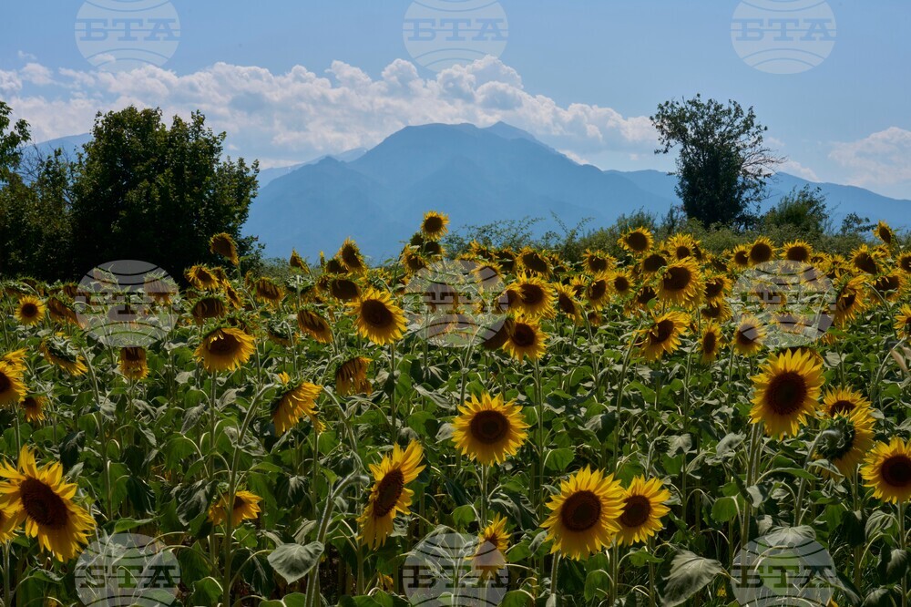 Greece UNESCO Mount Olympus