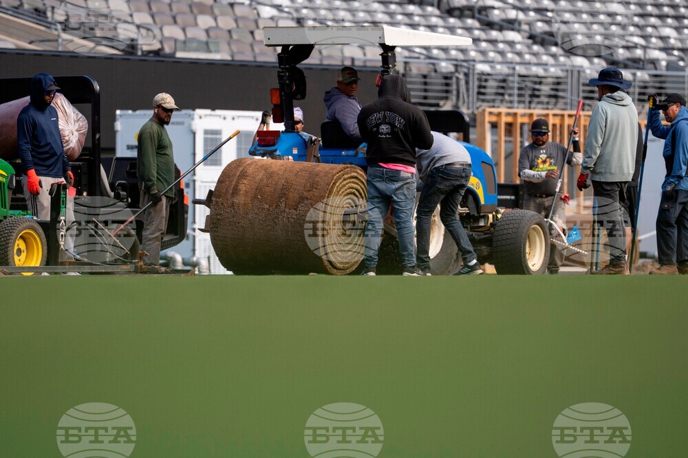 WCup Final-Pitch