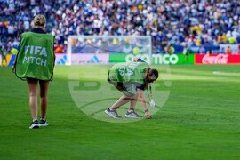 WCup Final-Pitch
