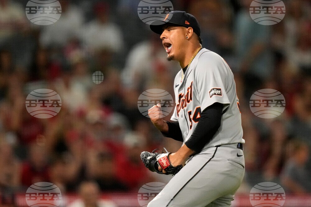 Tigers Angels Baseball
