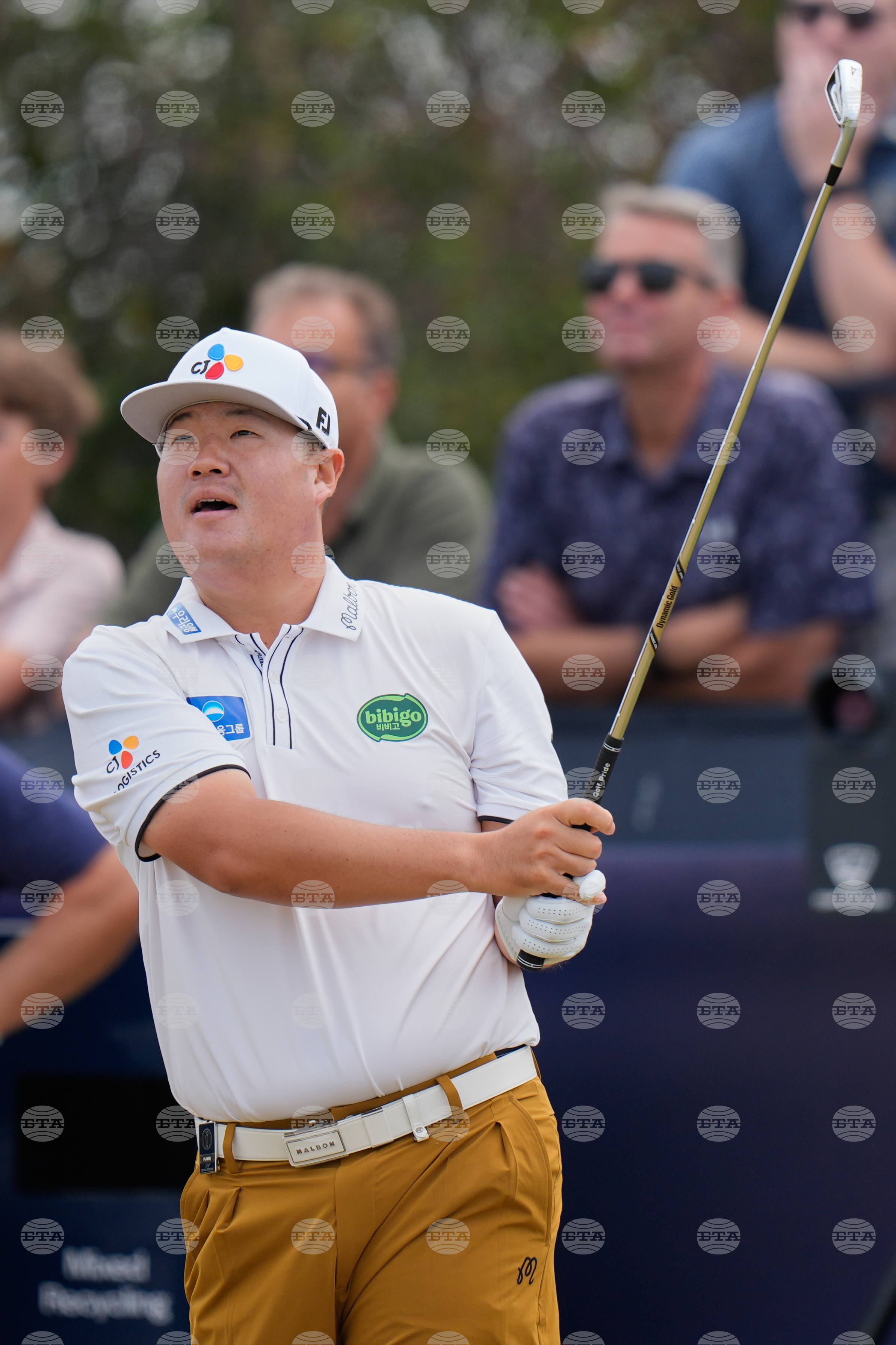 British Open Golf Championship