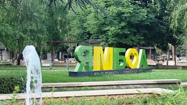 Община Ямбол обяви поръчка за 420 000 евро за доставка на растителност, включително и на 20 дървета от вида гигантска секвоя