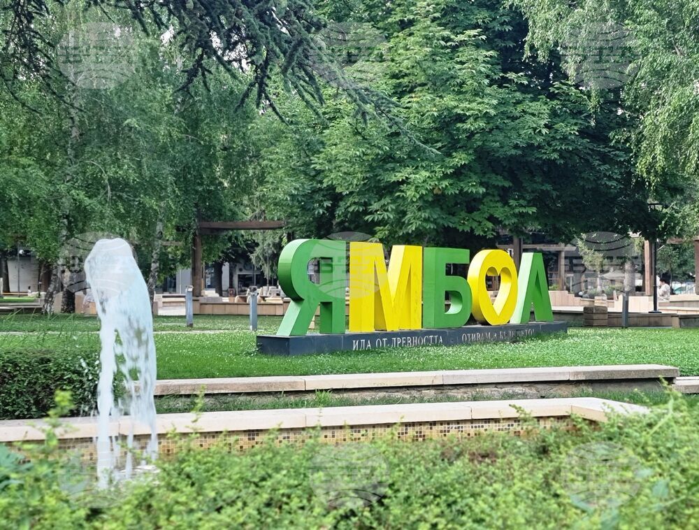 Община Ямбол обяви поръчка за 420 000 евро за доставка на растителност, включително и на 20 дървета от вида гигантска секвоя