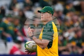 South Africa Wales Rugby