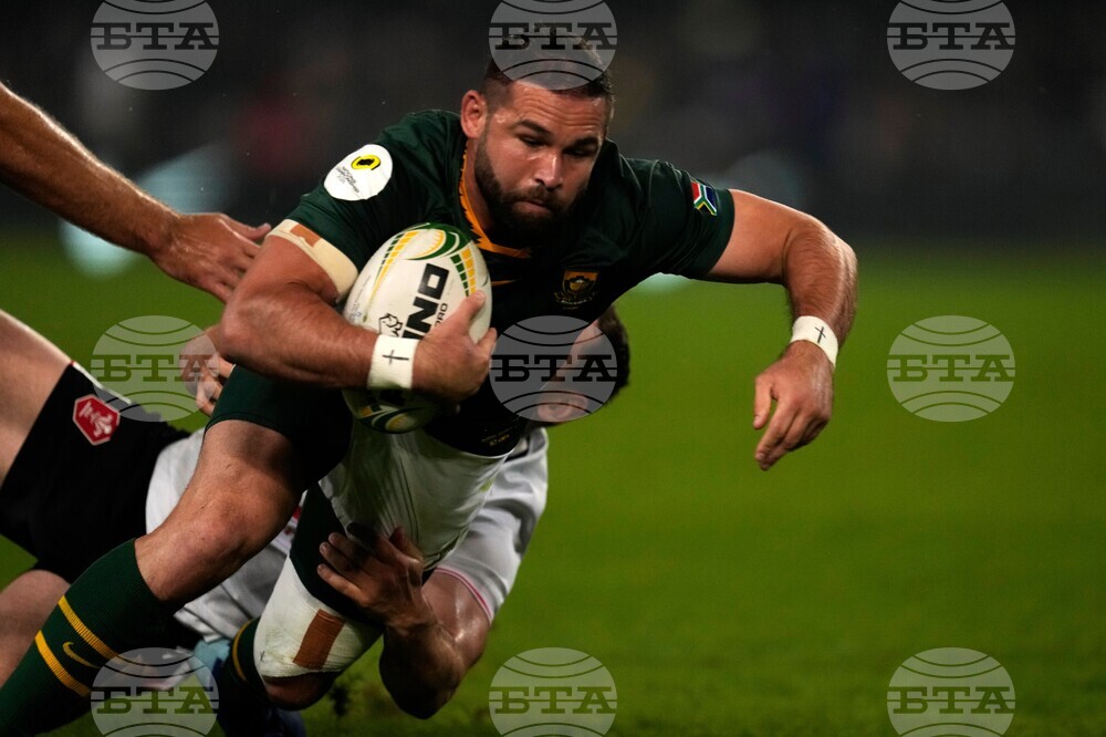 South Africa Wales Rugby