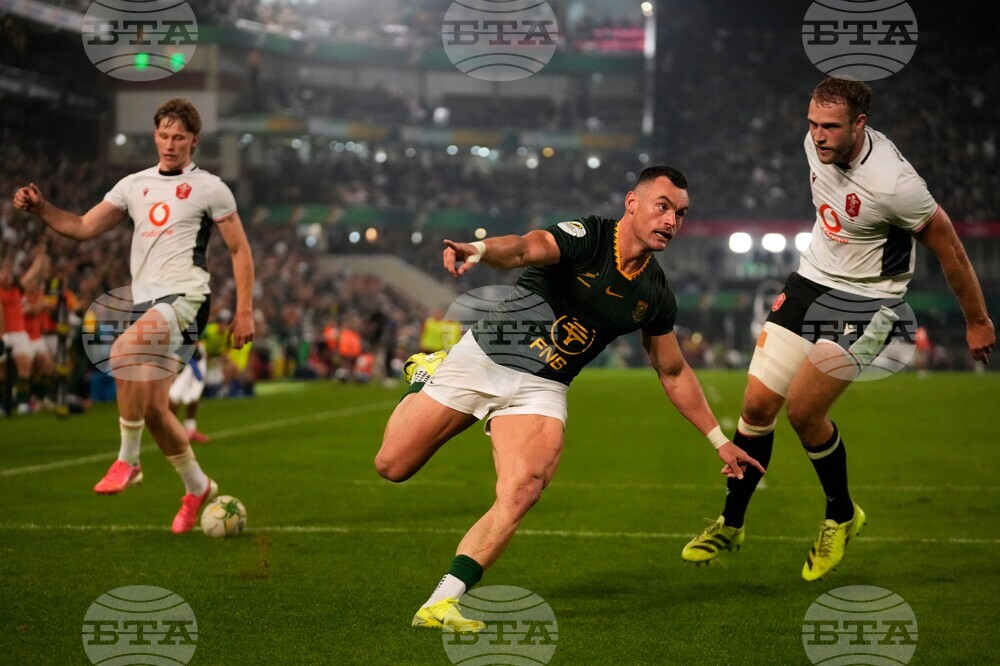South Africa Wales Rugby