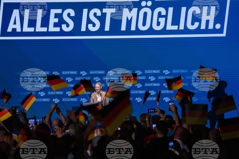 Germany Politics