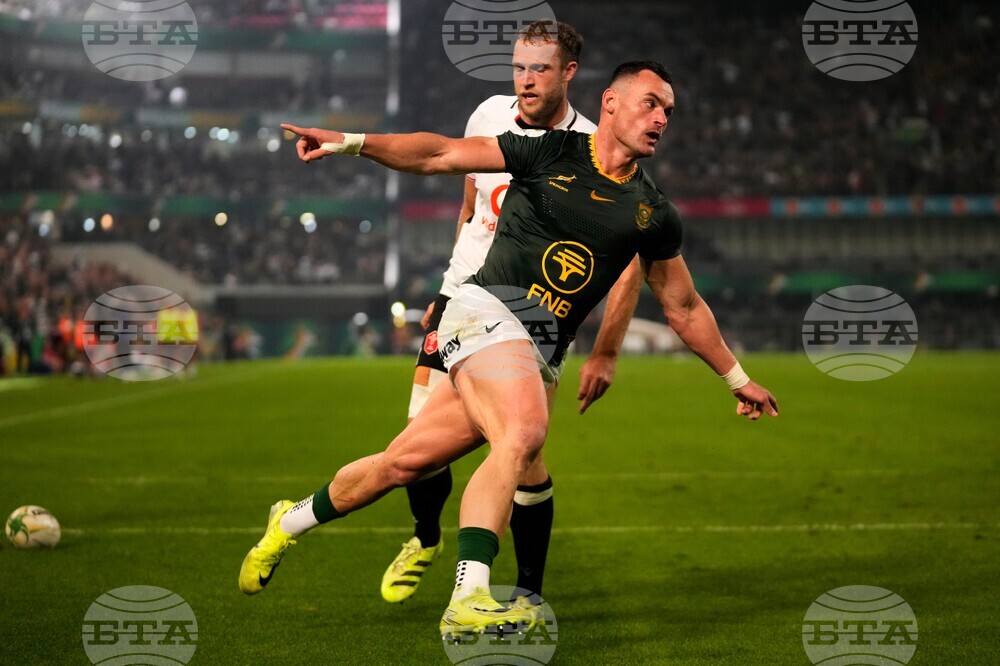 South Africa Wales Rugby
