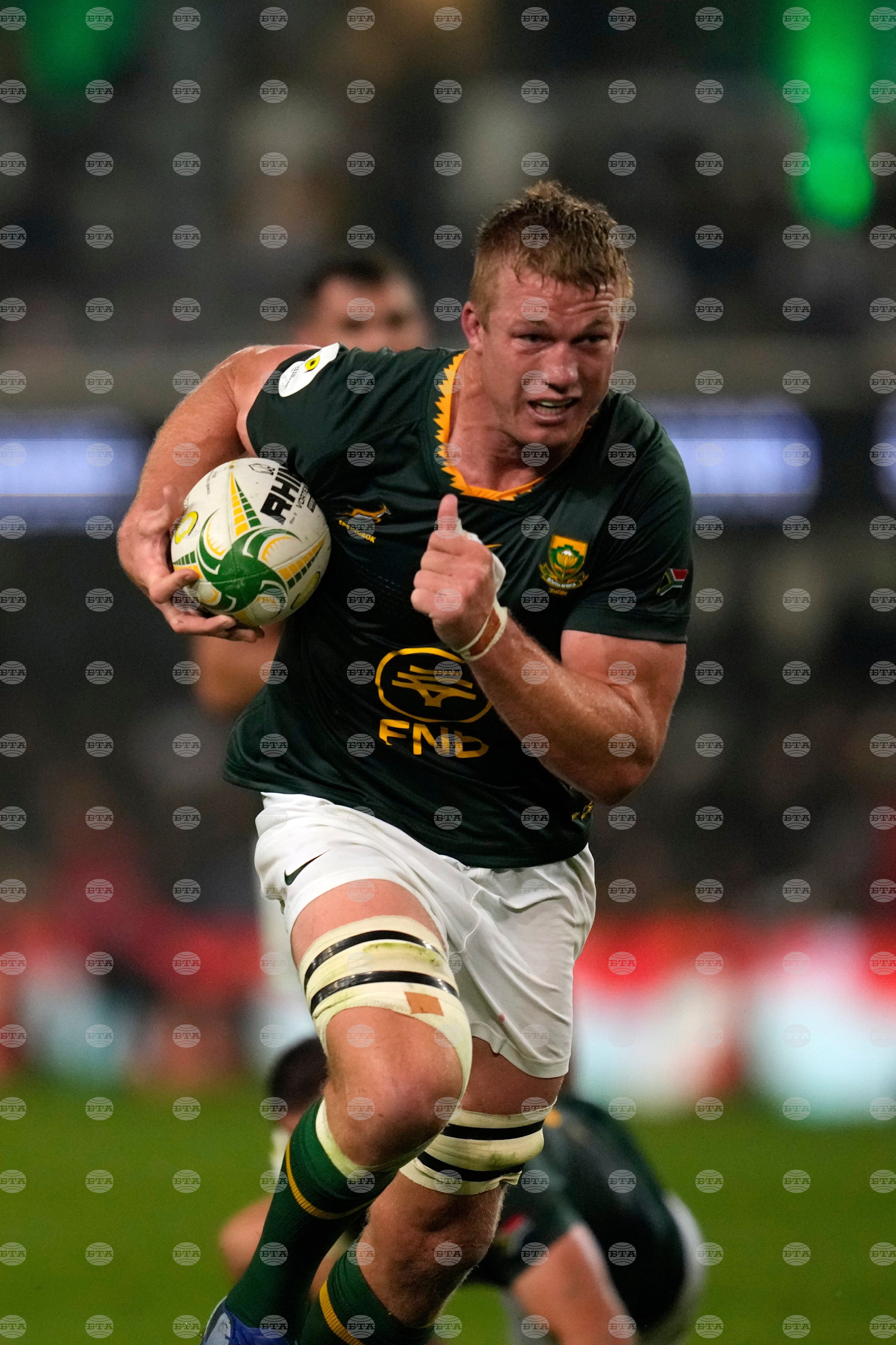 South Africa Wales Rugby