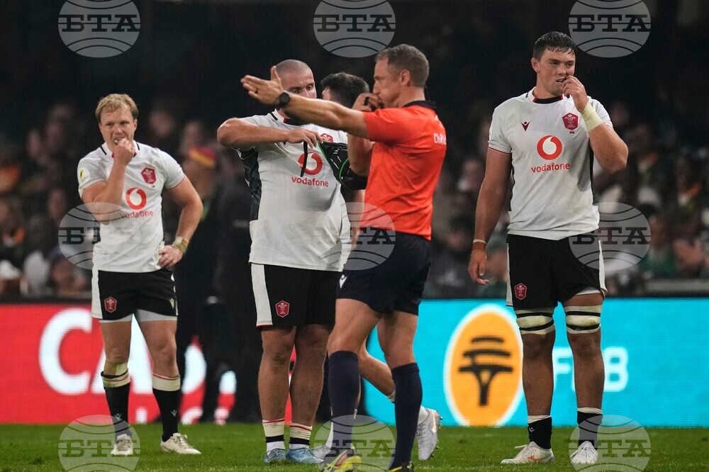 South Africa Wales Rugby