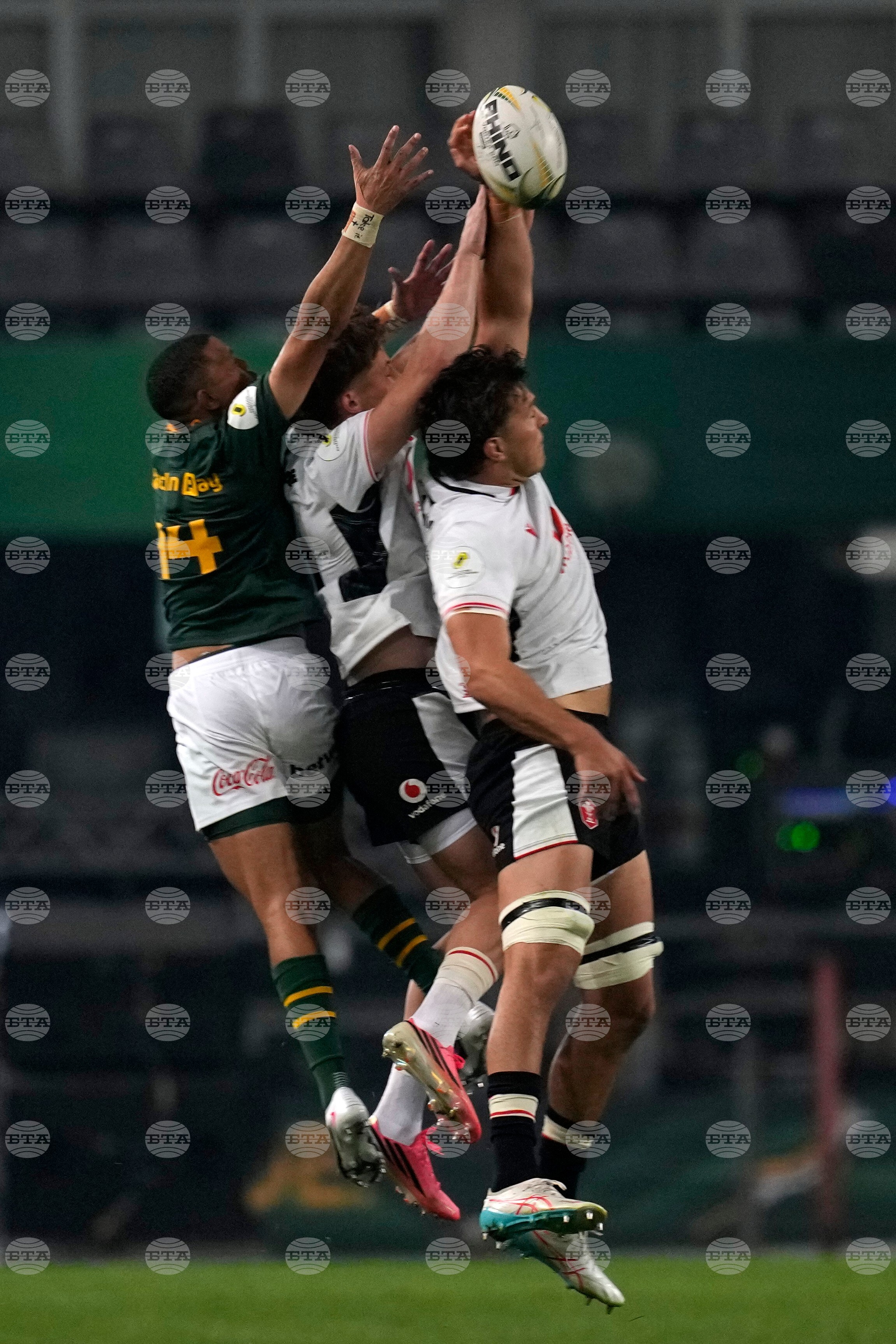 South Africa Wales Rugby