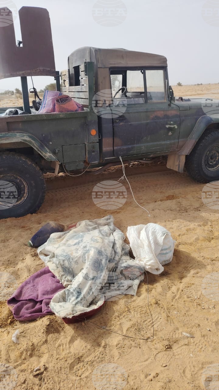 Mali Rebels