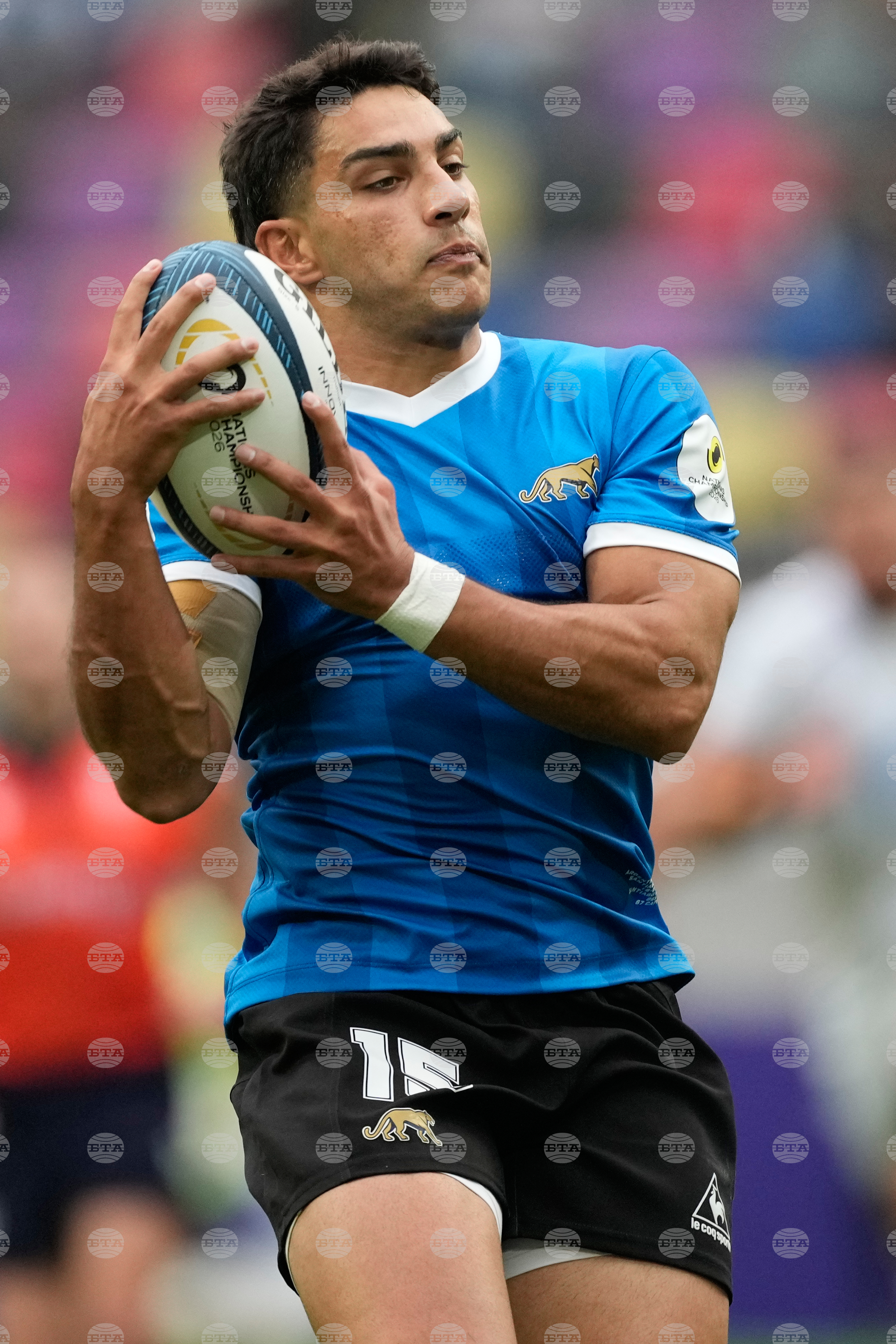 Argentina England Rugby