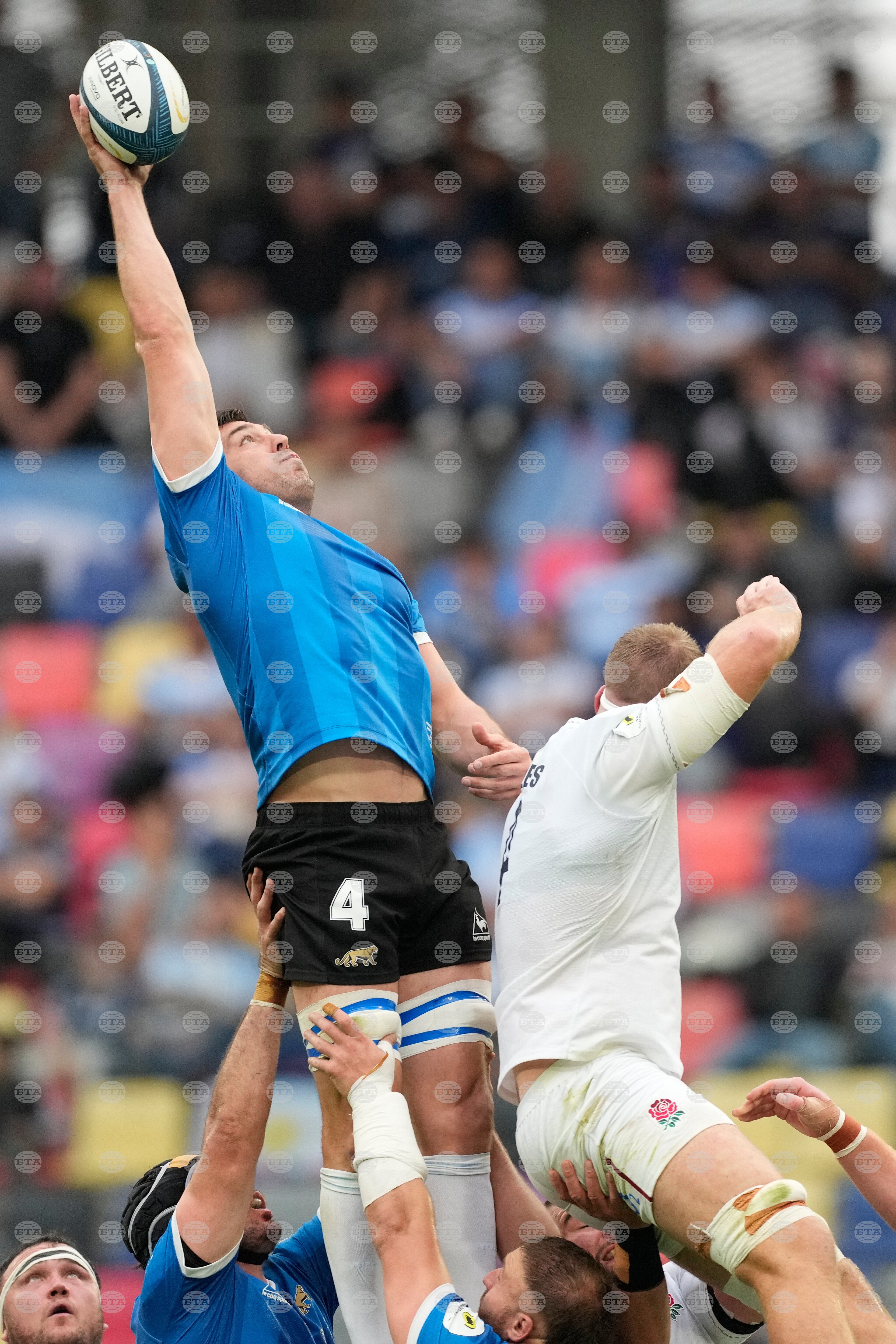 Argentina England Rugby