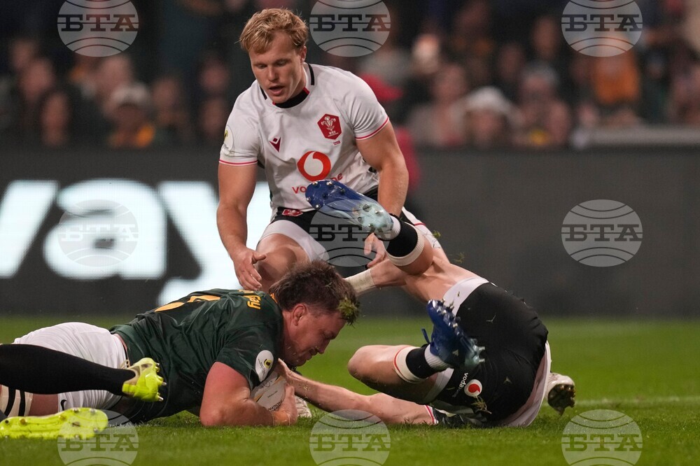 South Africa Wales Rugby