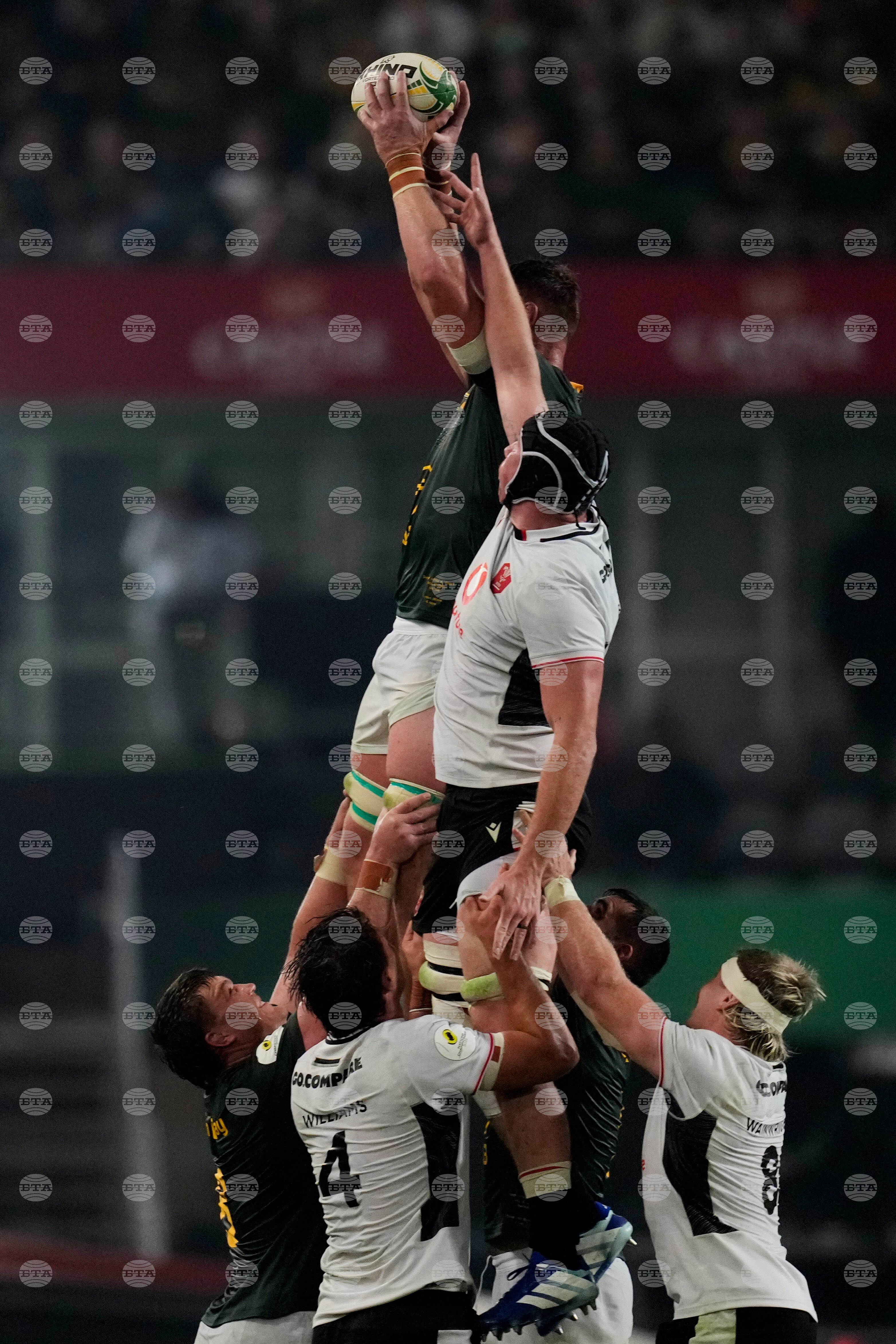 South Africa Wales Rugby