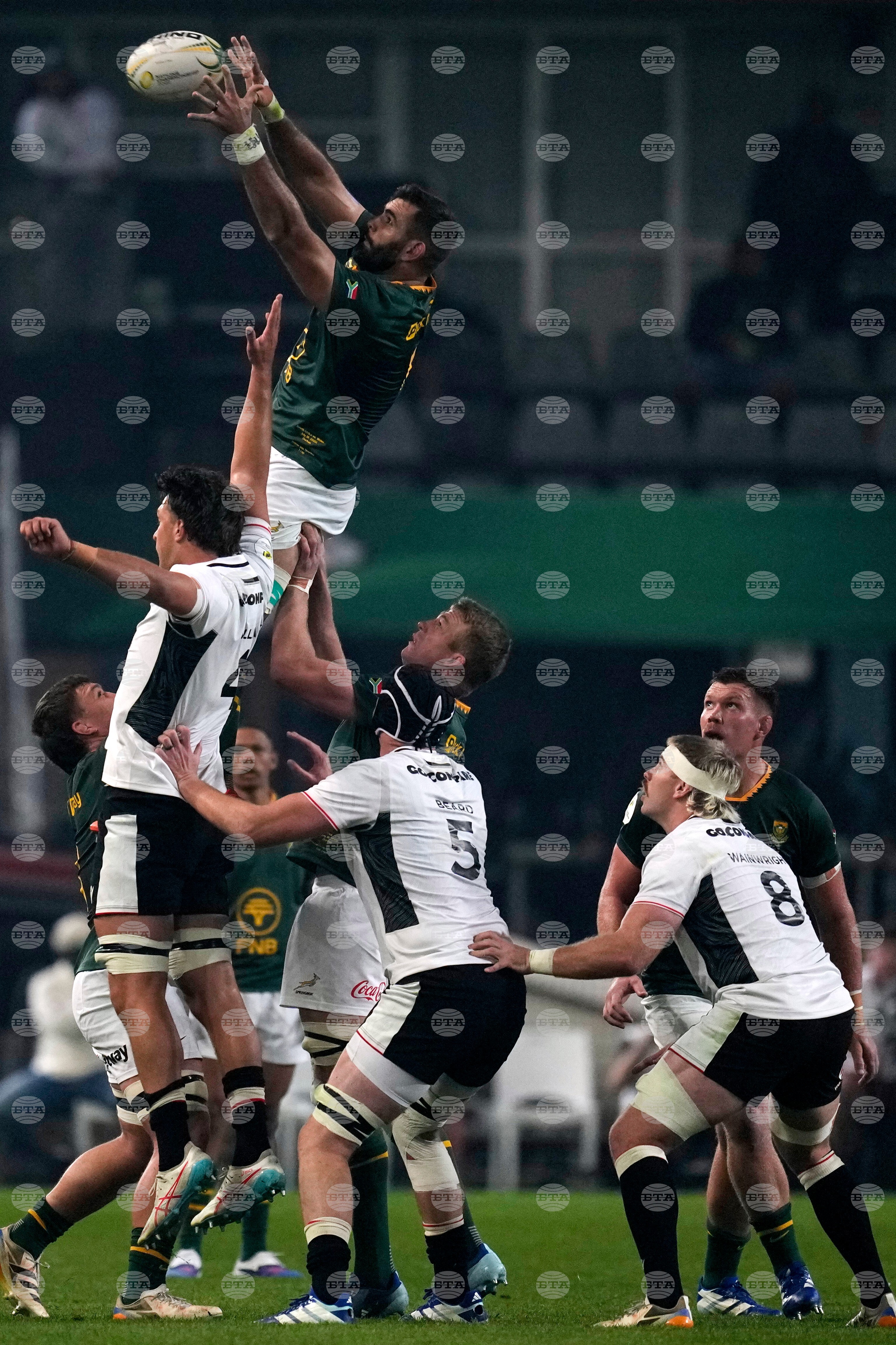South Africa Wales Rugby