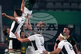 South Africa Wales Rugby