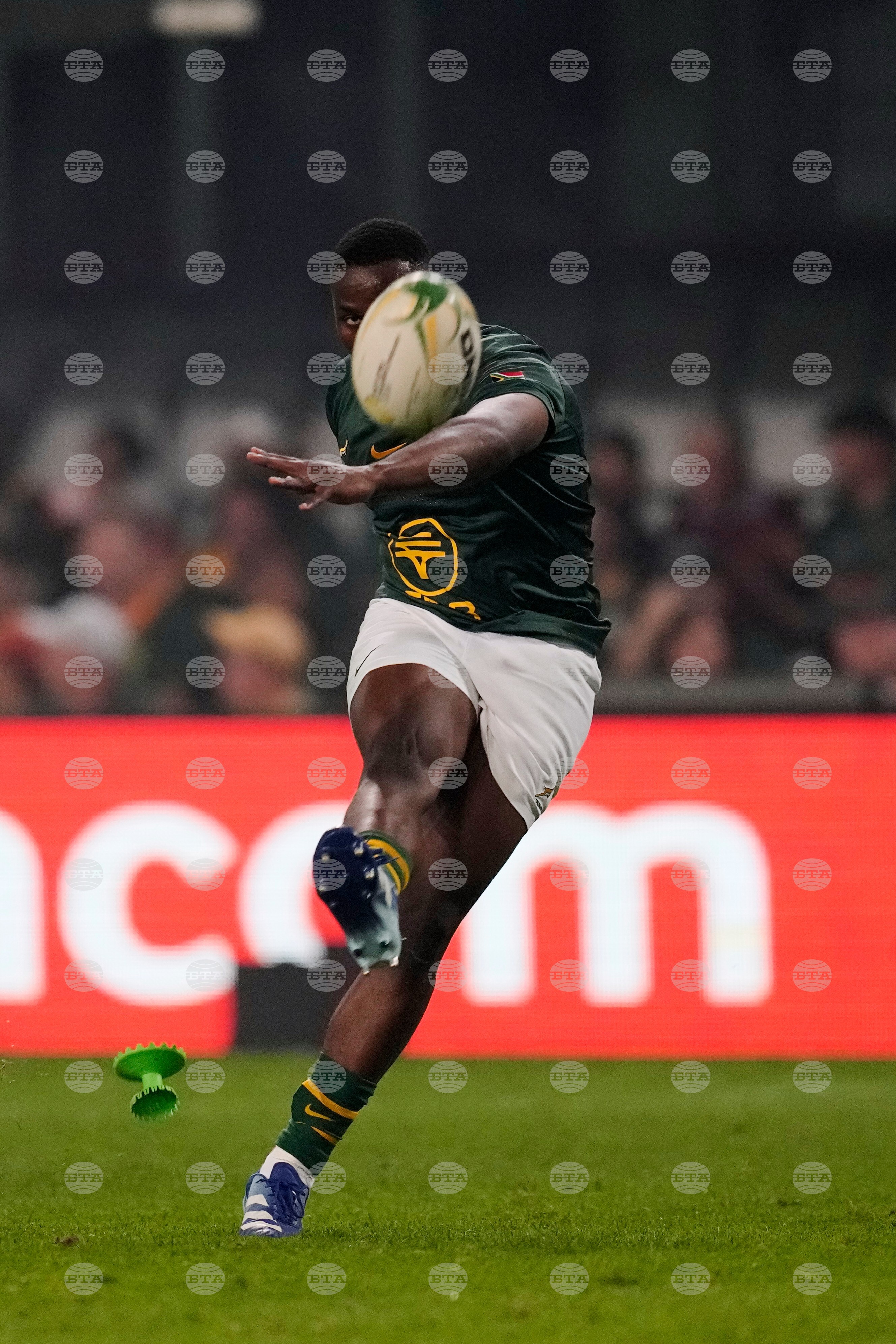 South Africa Wales Rugby