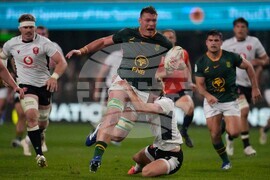 South Africa Wales Rugby