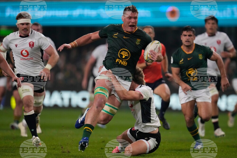 South Africa Wales Rugby