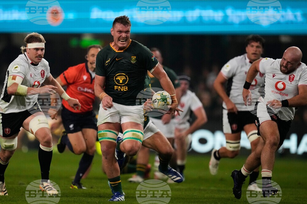 South Africa Wales Rugby