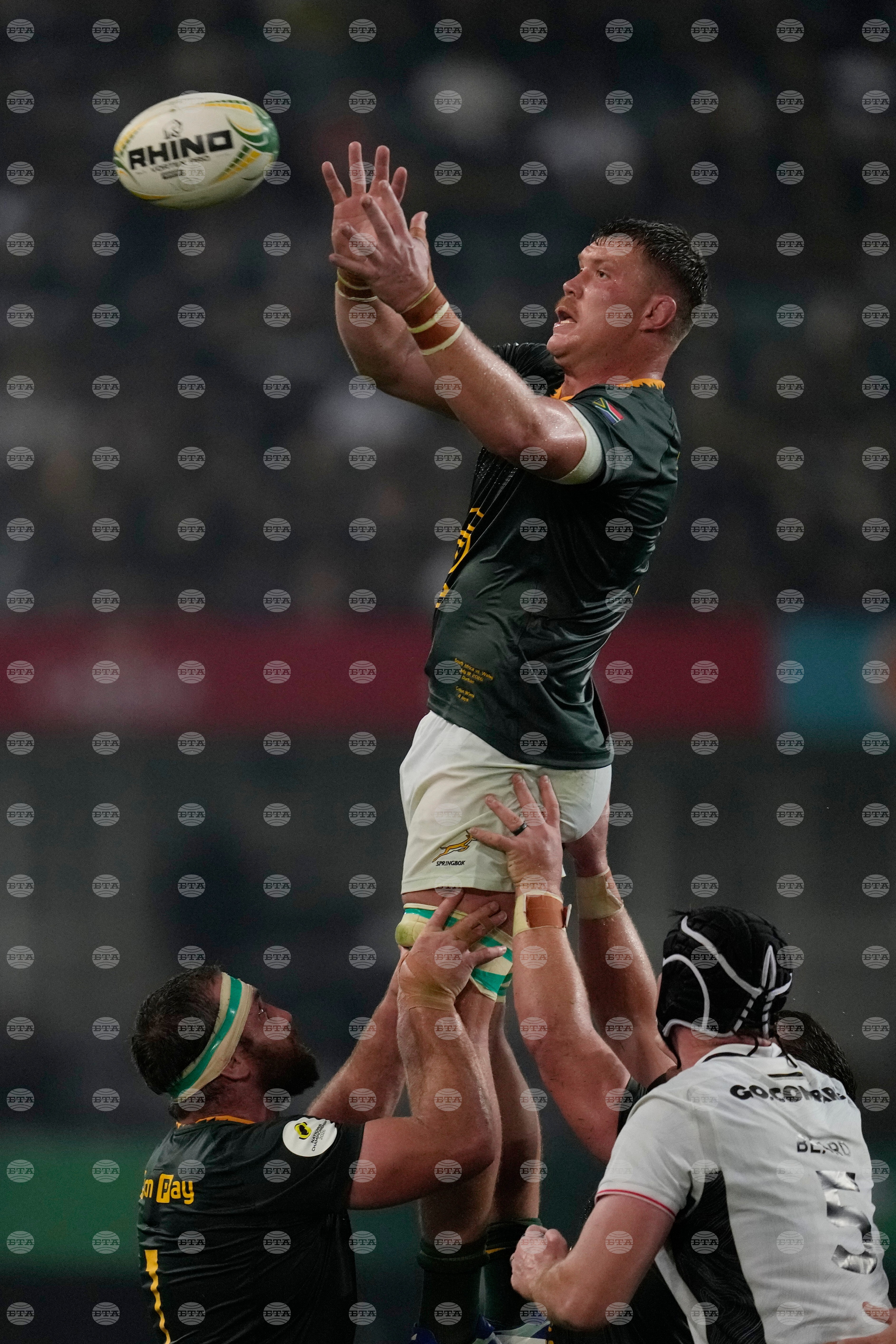 South Africa Wales Rugby