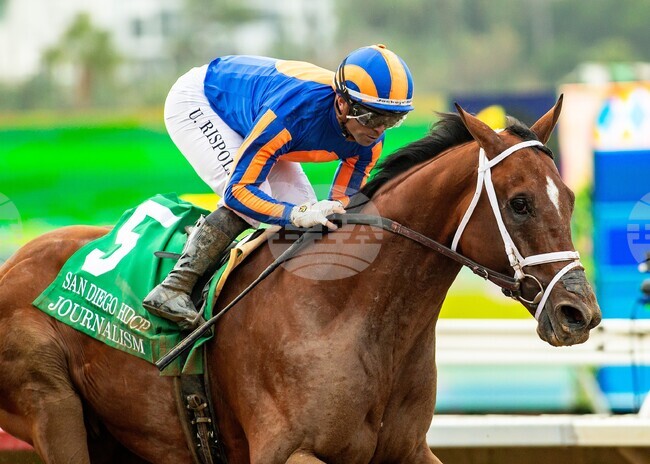 Del Mar Horse Racing