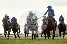 Del Mar Horse Racing