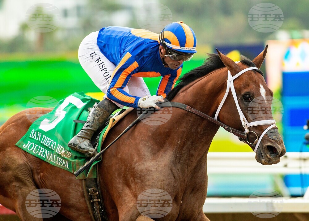 Del Mar Horse Racing