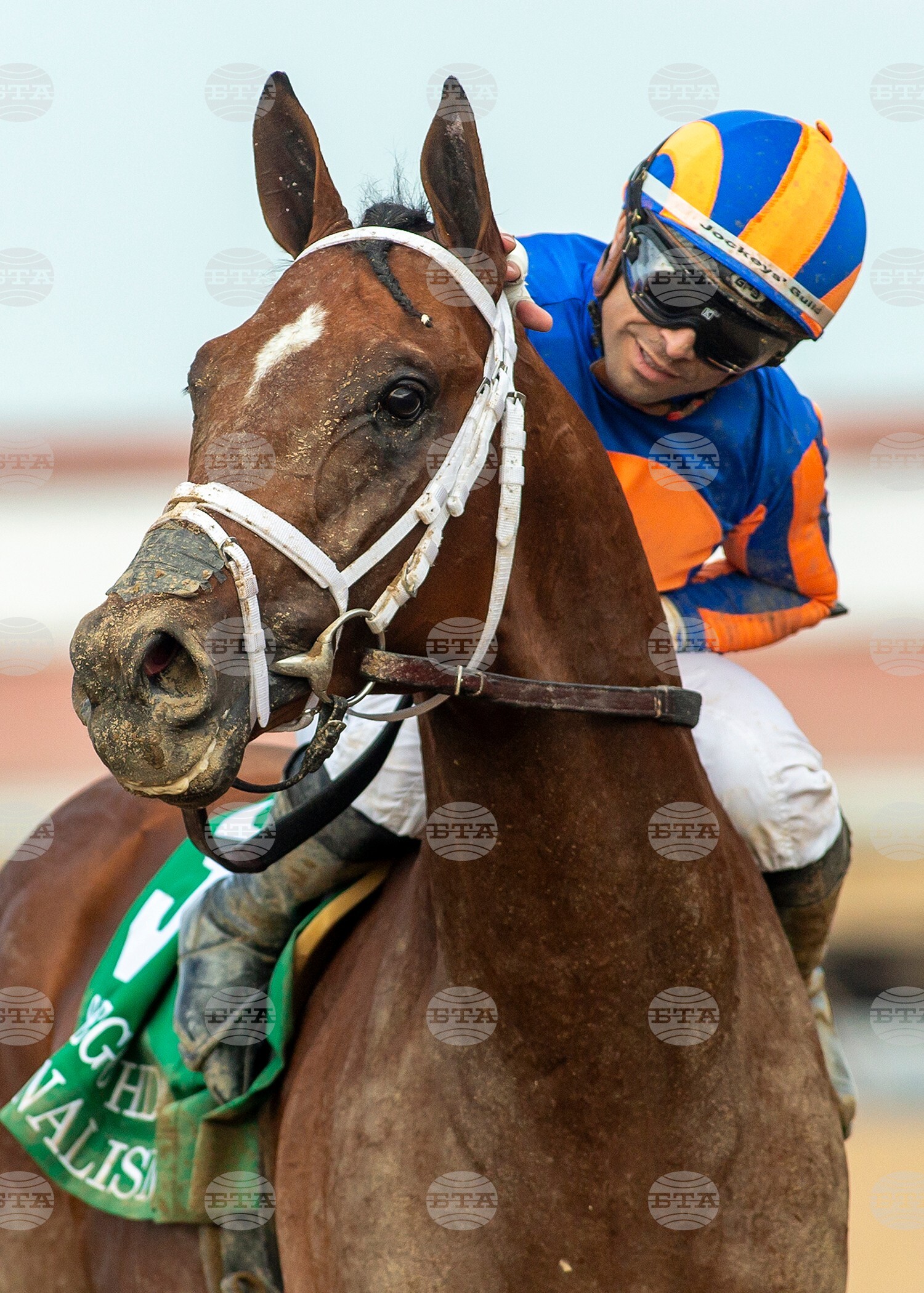 Del Mar Horse Racing
