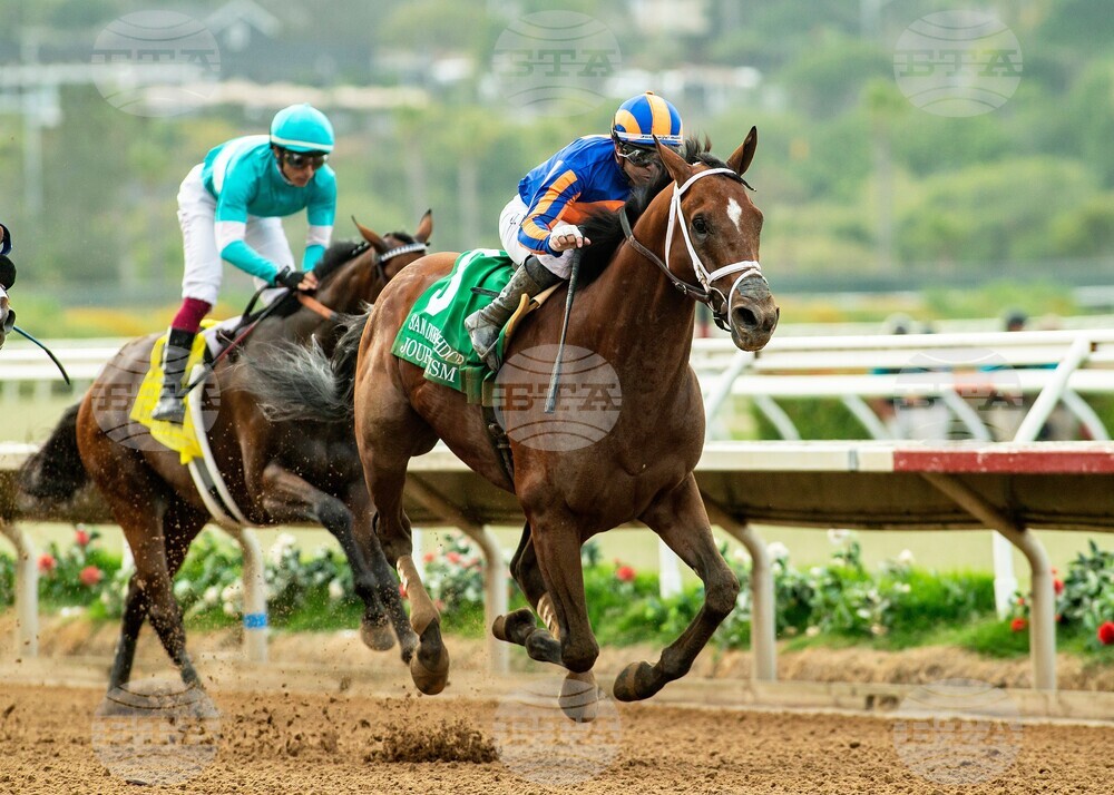 Del Mar Horse Racing