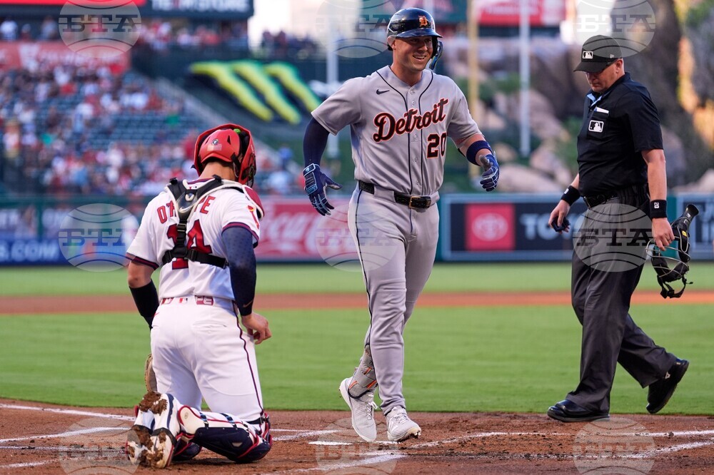 Tigers Angels Baseball