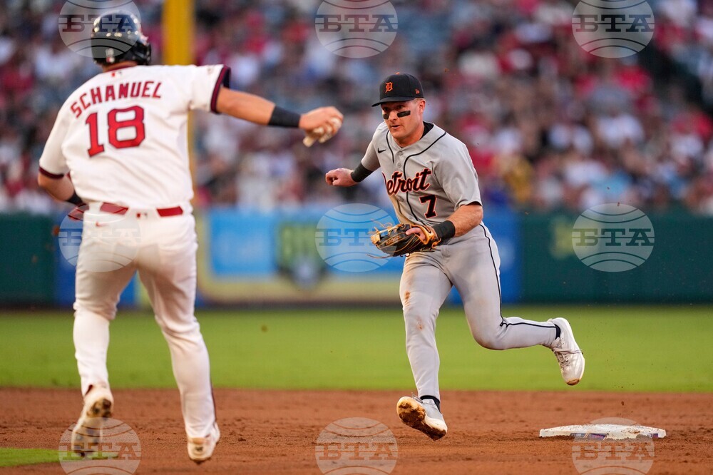 Tigers Angels Baseball