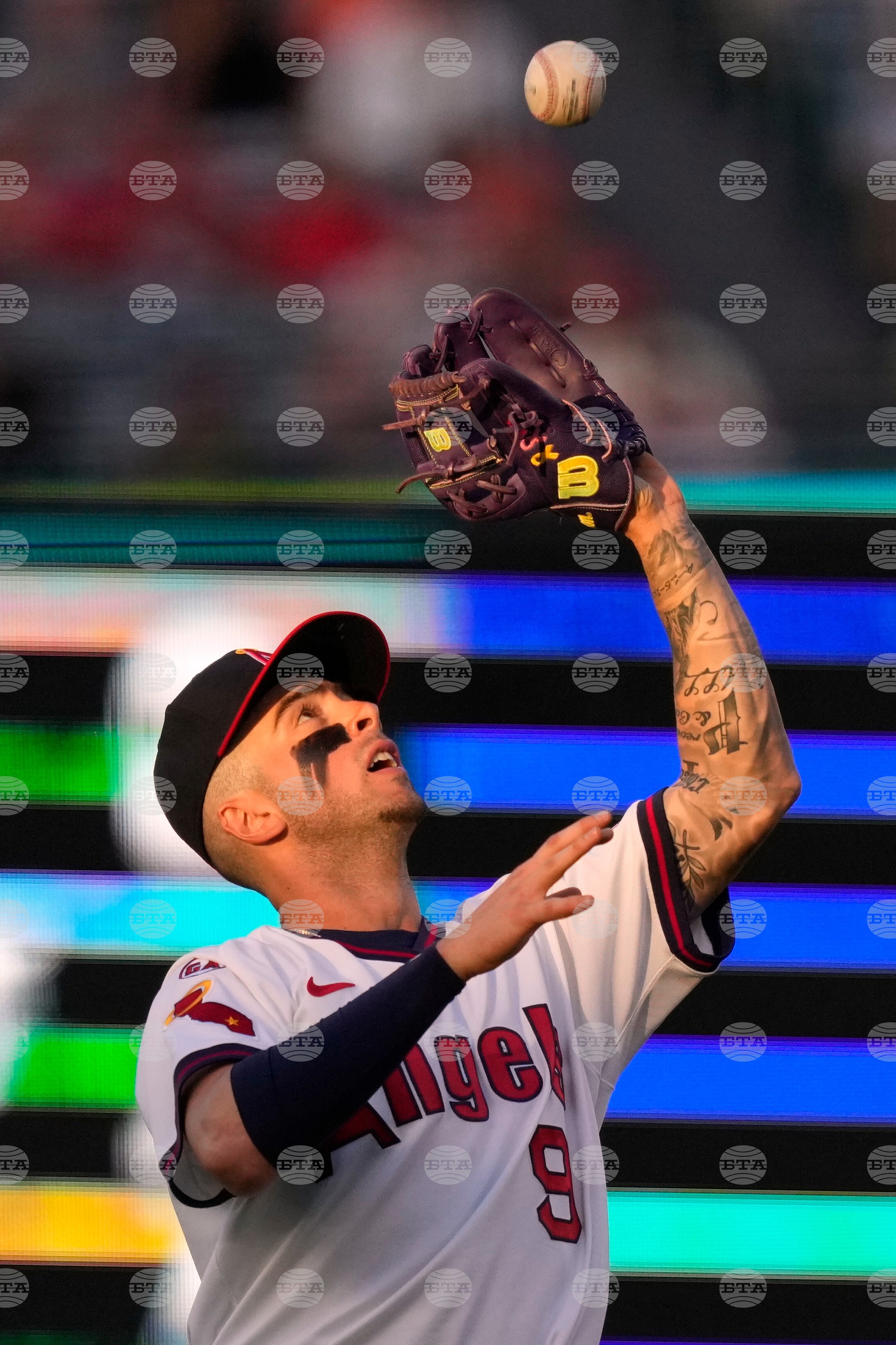 Tigers Angels Baseball