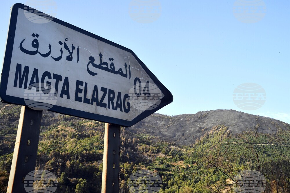 Algeria Fire