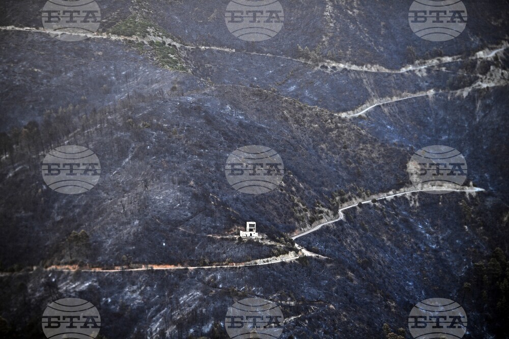 Algeria Fire