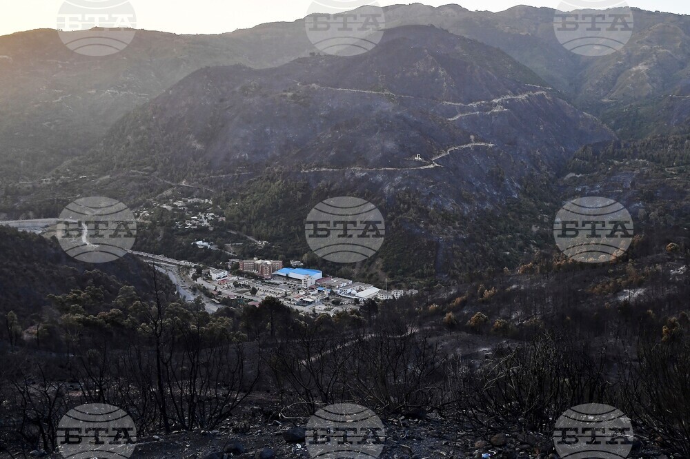 Algeria Fire
