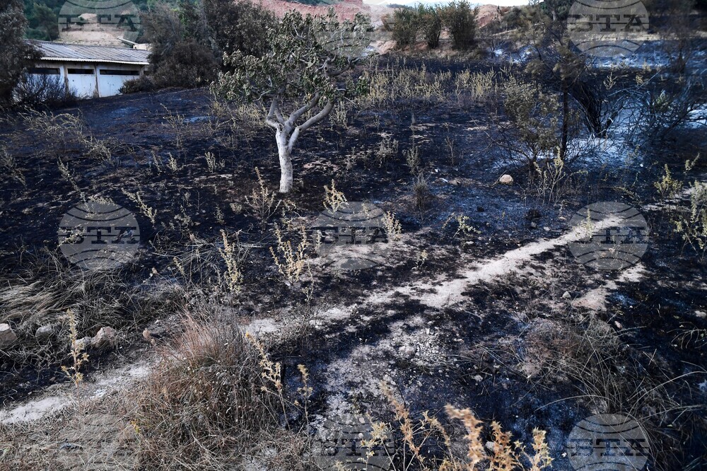 Algeria Fire