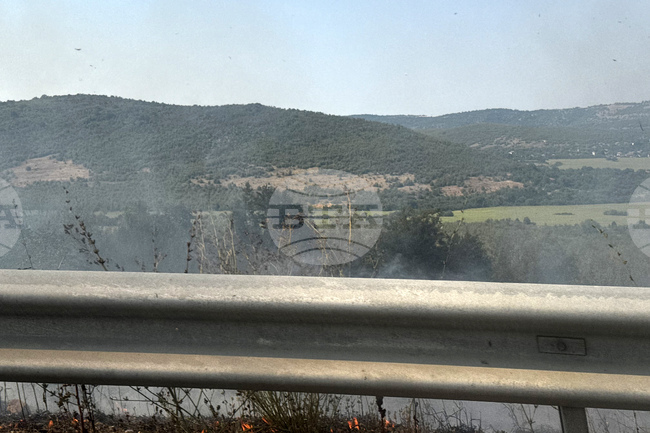 Traffic Restored on Trakia Motorway Near Sofia Following Fire