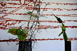 Бургас - национална изложба на цветя - демонстрации на икебана