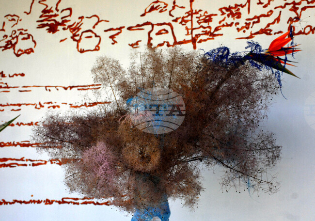 Бургас - национална изложба на цветя - демонстрации на икебана