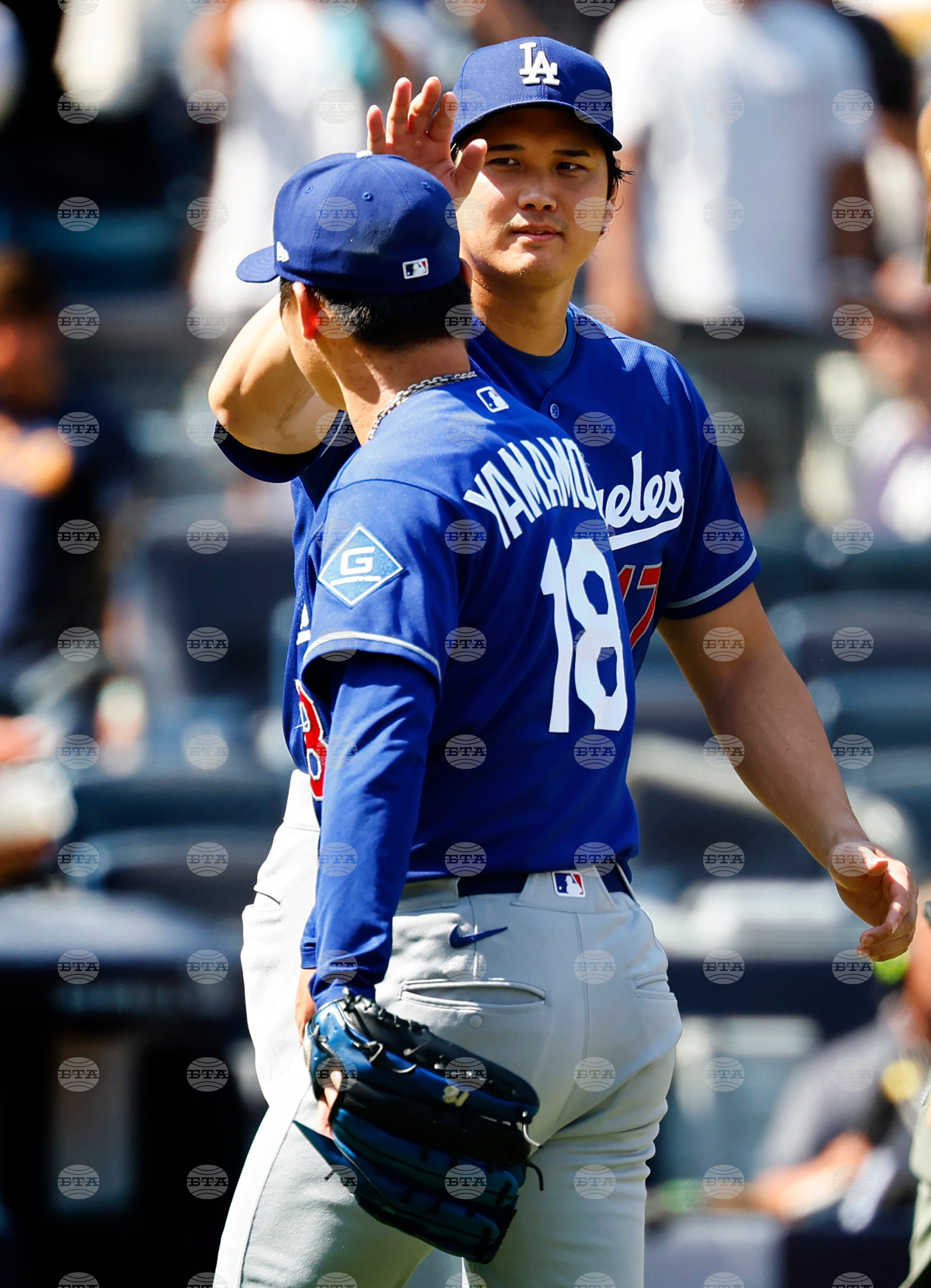 Dodgers Yankees Baseball