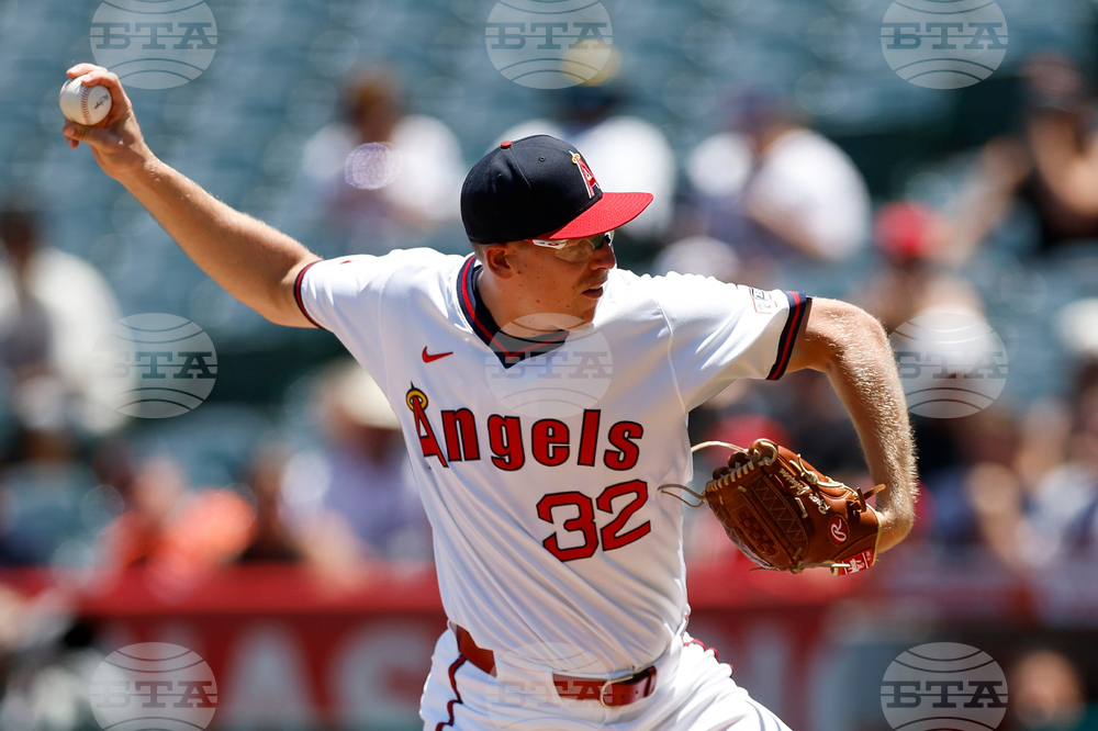 Tigers Angels Baseball