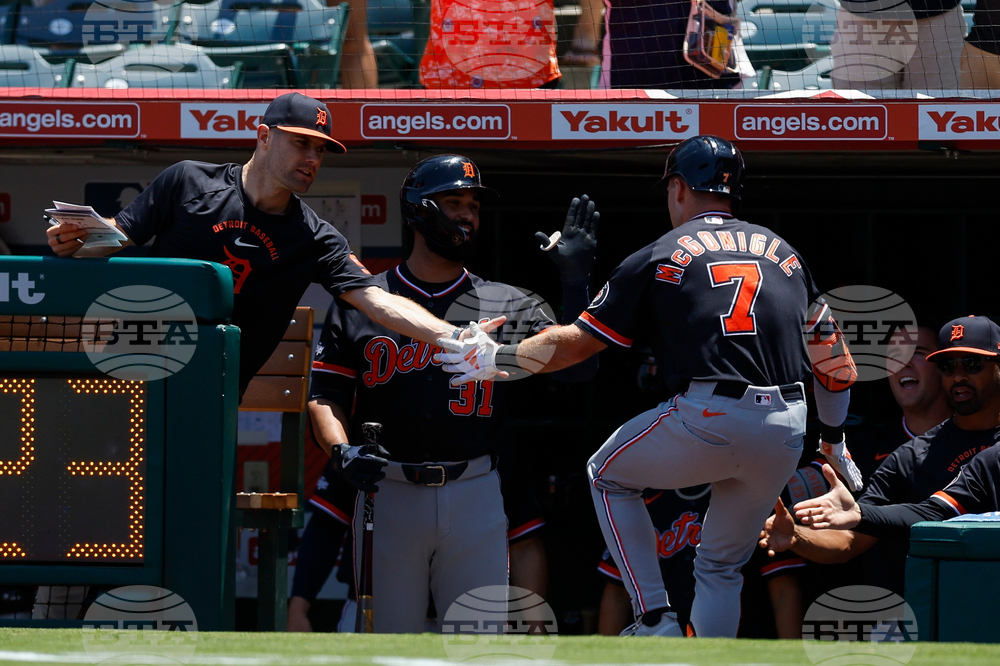 Tigers Angels Baseball