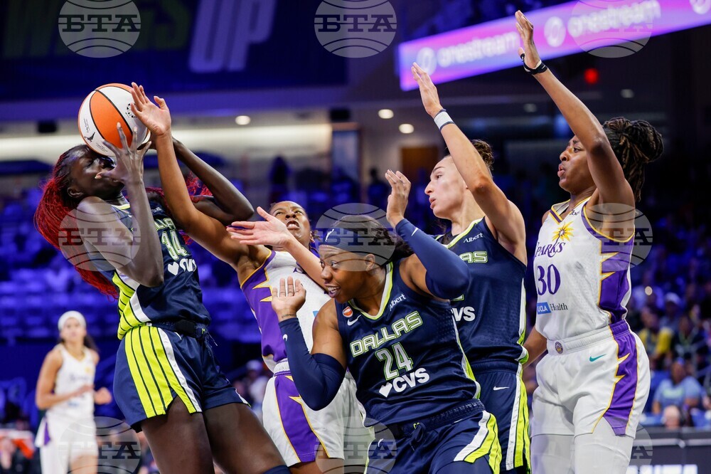 Wings Sparks Basketball