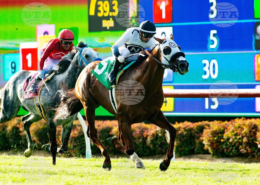 Del Mar Horse Racing